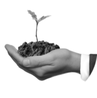 Projektentwicklung_Startups_Co-Working_Acceleratoren.png