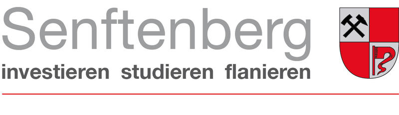 Senftenberg_Stadt.jpg